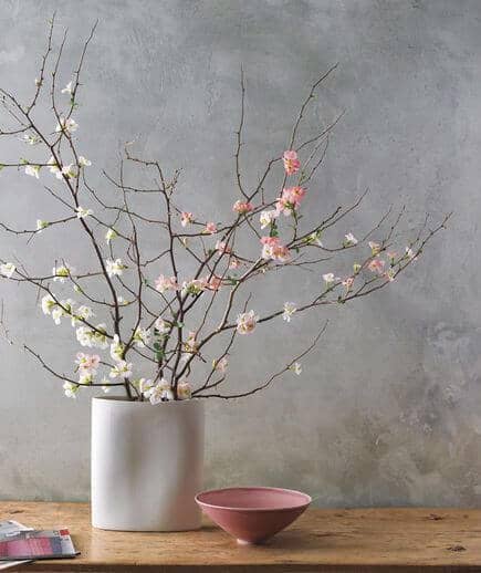 cherry blossom plant minimalist decor
