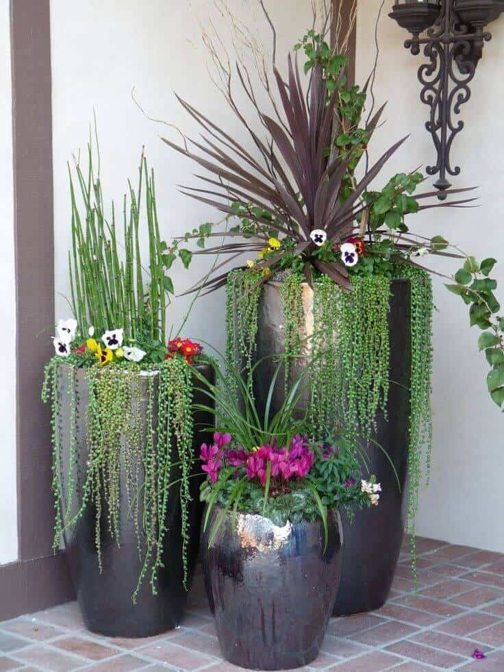 potted plants ideas for patio