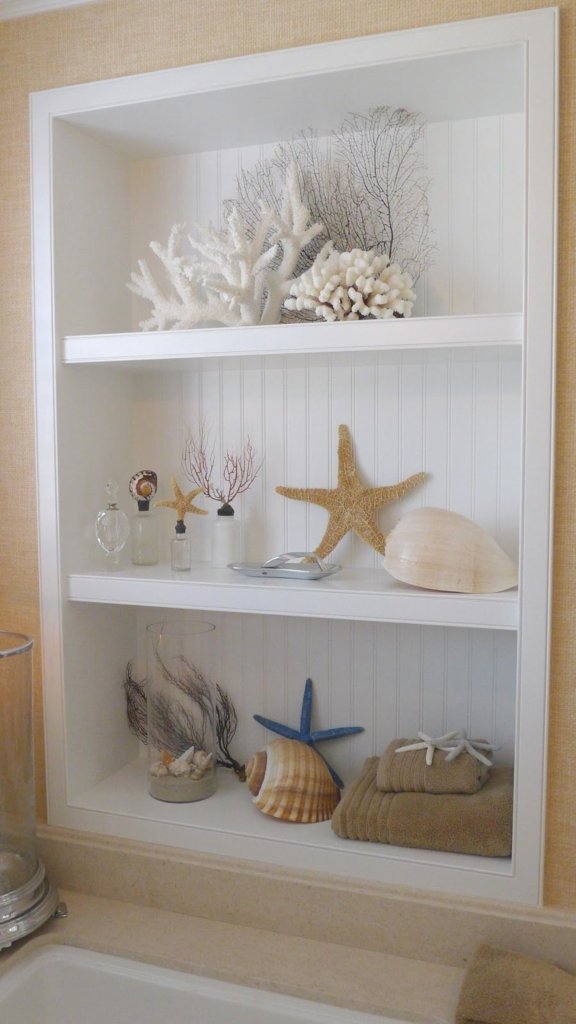 Seashells on shelves decor