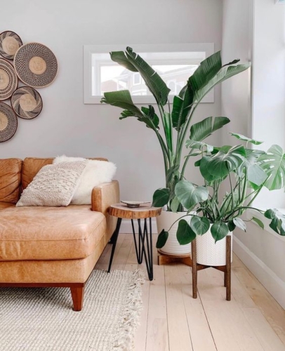 Best 185 Handpicked Living rooms Ideas