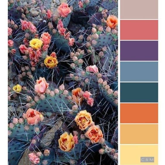 Flower Colors Palette